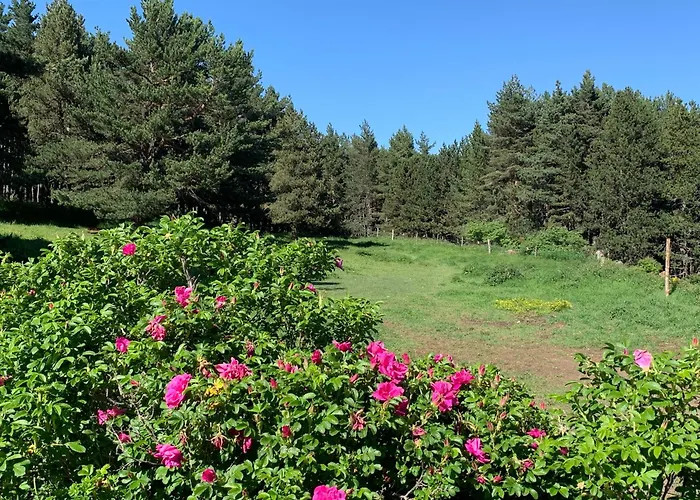 Gite Ranch Le Serpolet