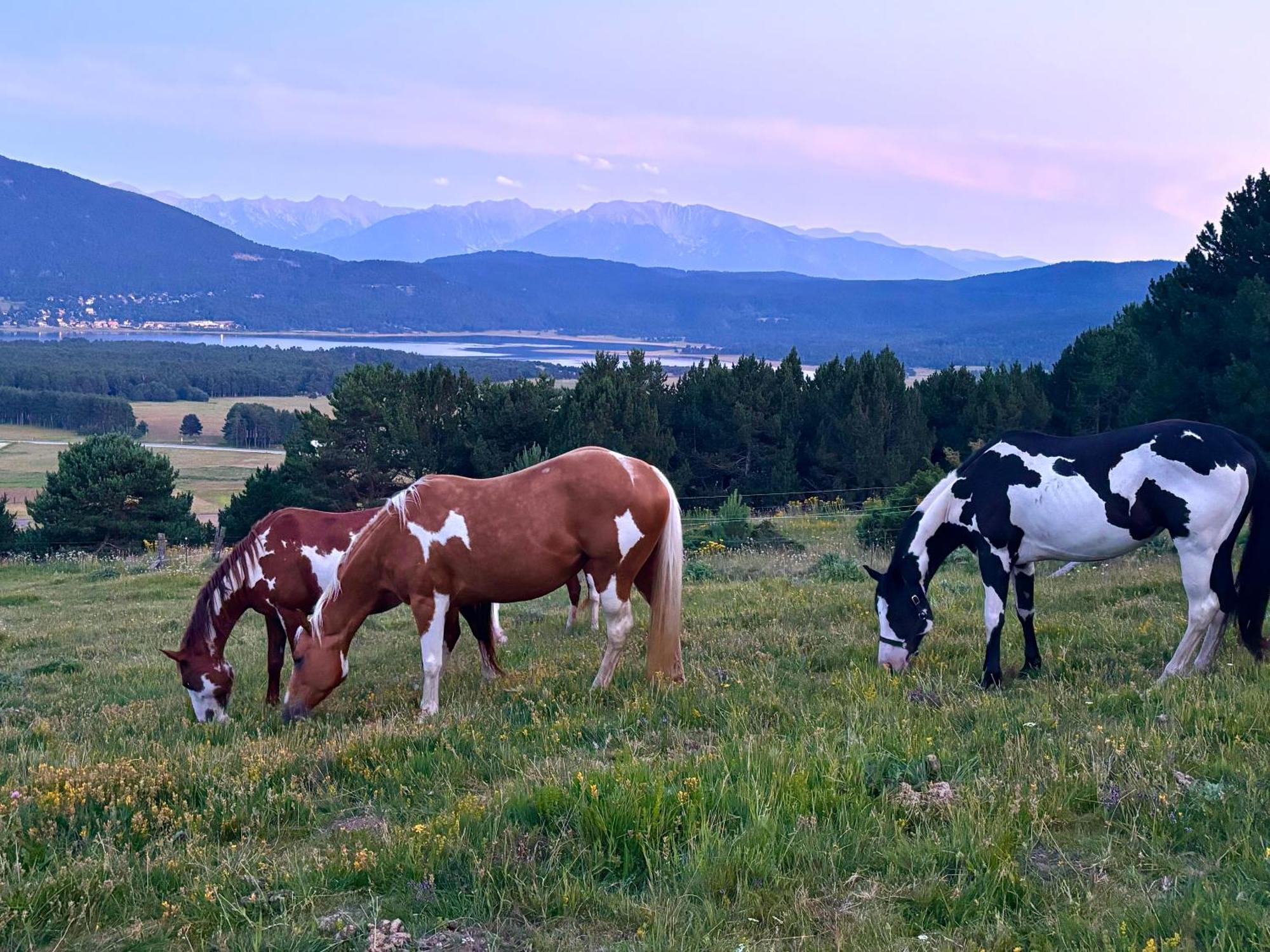 Ranch Le Serpolet Bed & Breakfast Les Angles (Pyrenees-Orientales)